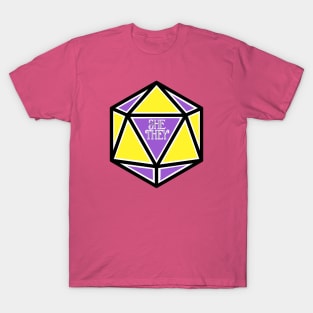 Nonbinary Pronoun Pride D20 She/They T-Shirt